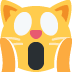 :weary_cat: