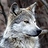 IIAIronWolf