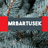 MrBartusek