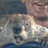 PunxsutawneyPhil