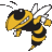 swbradshaw
